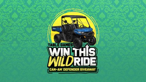 Win this Wild Ride