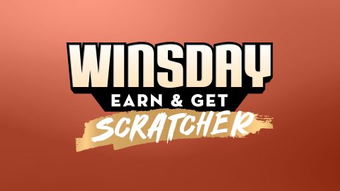 WINSdays