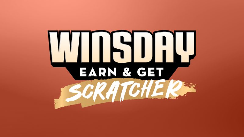 WINSdays